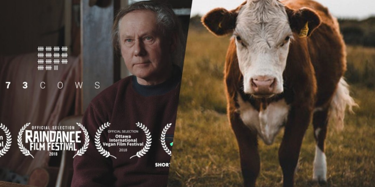 Веганский фильм «73 Cows» получил главный приз Британской киноакадемии